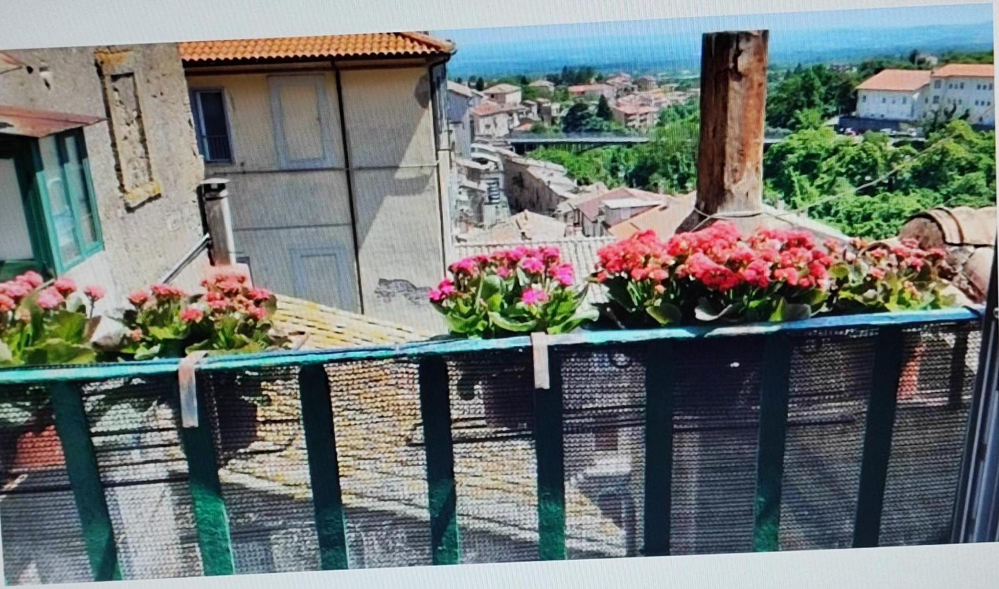 La Casa Del Sole Lejlighed Caprarola Eksteriør billede